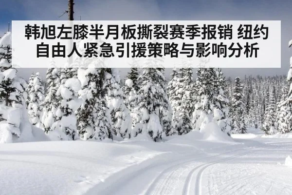 韩旭左膝半月板撕裂赛季报销 纽约自由人紧急引援策略与影响分析