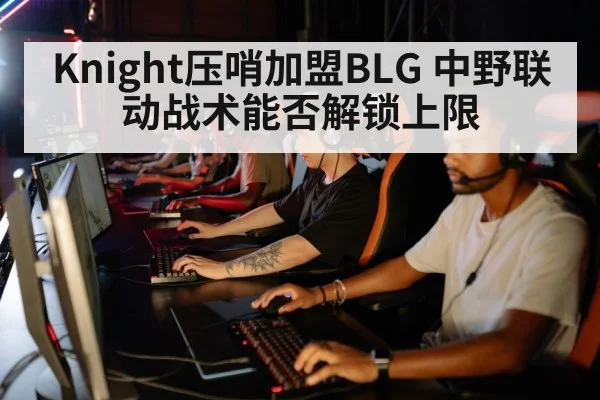 Knight压哨加盟BLG 中野联动战术能否解锁上限